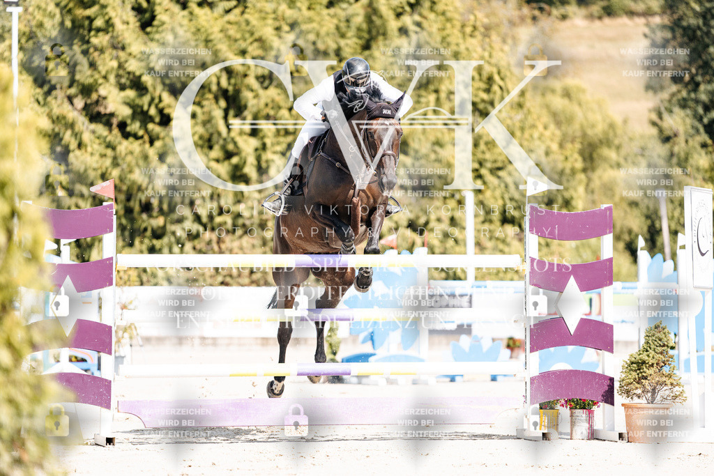 CK908786 | Turnierfotografie Pferdefotografie Trier Rheinland-Pfalz Pferdesport Reitsport Tierfotografie Sportfotografie Pferdevideo Pferdevideografie Equestrianvideography equestrianphotography  - Realisiert mit Pictrs.com