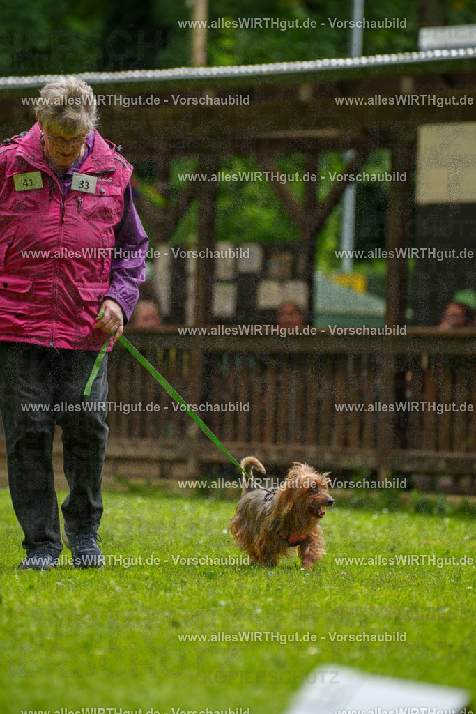 @allesWIRTHgut_Tierfotografie - www.allesWIRTHgut.de - 122325-7R508934 | Professionelle Tierfotografie in Mönchengladbach von Daniel Wirth (allesWIRTHgut). Liebevolle & natürliche Bilder von Hunden & Katzen für unvergessliche Erinnerungen.