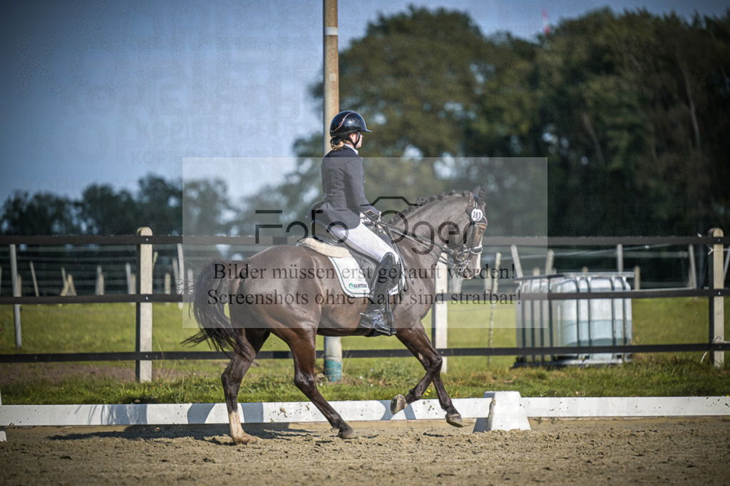 DOS_3251 | Entdecke hochwertige Reitturnierfotos von Foto Oger. Professionell, emotional und authentisch – jetzt Lieblingsmomente im Shop bestellen.Deutschlandweite Turnierfotografie. - Realisiert mit Pictrs.com