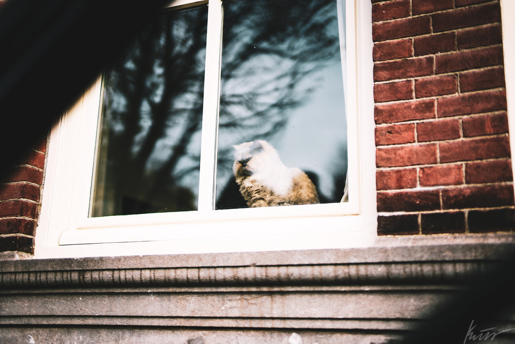 _DSC2764 | In meinem Onlineshop biete ich nur sehr kritisch ausgewählte Fotografien an. Diese sind von meinen Reisen oder Kurztrips. Ich habe sie ausgewählt, da diese meiner Meinung Nach wunderbare Wandbilder darstellen.  - Realisiert mit Pictrs.com