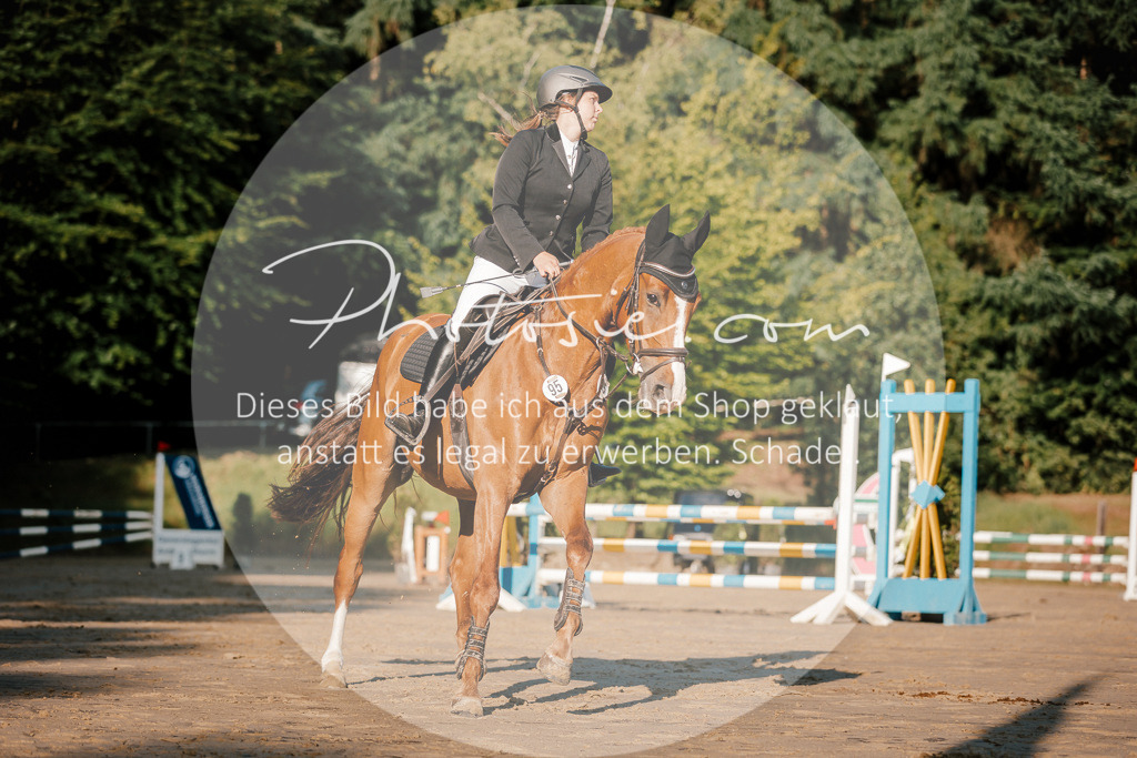 3I6A6165 | Stimmungsvolle Portraits und Reitsportfotografie im Ruhrgebiet und im Münsterland.

Pferdefotografie, Hundefotografie, Tierfotografie, Reportagen, Portraits von Tier und Mensch, Turnierfotografie in Bochum, Recklinghausen, Marl, Haltern am See, Dülmen.. - Realisiert mit Pictrs.com