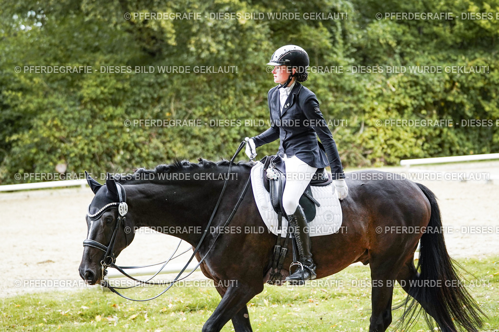 DSC01377 | Pferdegrafie