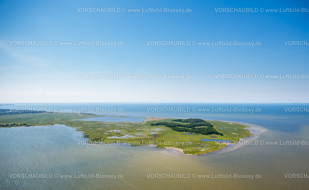 Usedom16062162Lubmin | Naturschutzgebiet Halbinsel Struck, Freesendorfer See, Insel Usedom,  Peenemünde, Ostsee, , Deutschland