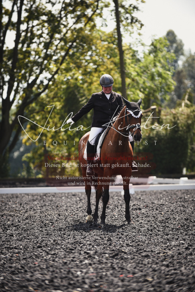 DSC_4158 | Pferde- und Turnierfotografie in Westsachsen. Pferdeportraits, Auftragszeichnungen und intuitive Kunst.