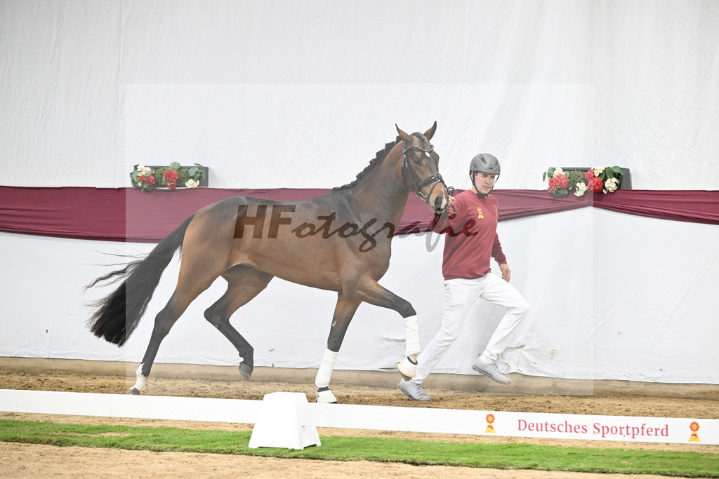 Kat-Nr. 125 Dynamic Dream x Benicio_Horst Schepper_47253715 | hf-fotografie - Realisiert mit Pictrs.com