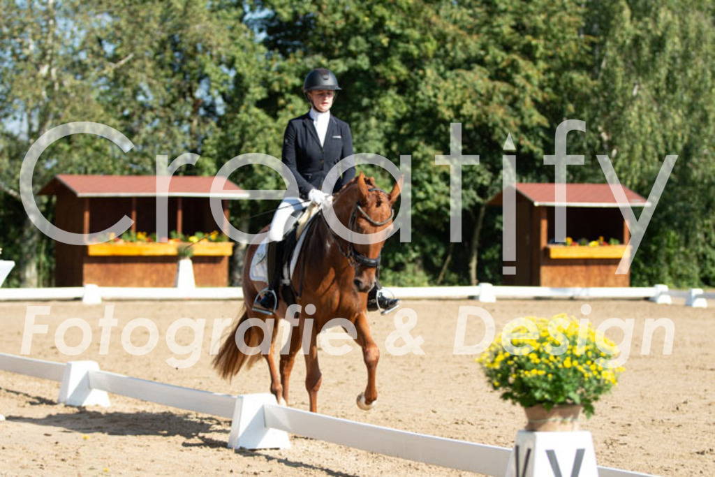 IMG_7550 | Creatify Fotografie