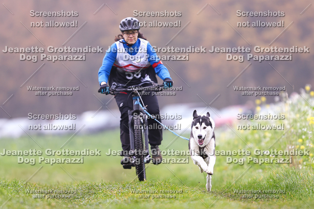 Dog Paparazzi - Visbeck 25 -180 | Dog Paparazzi Jeanette Grottendiek Fotografie & Videografie - Realisiert mit Pictrs.com