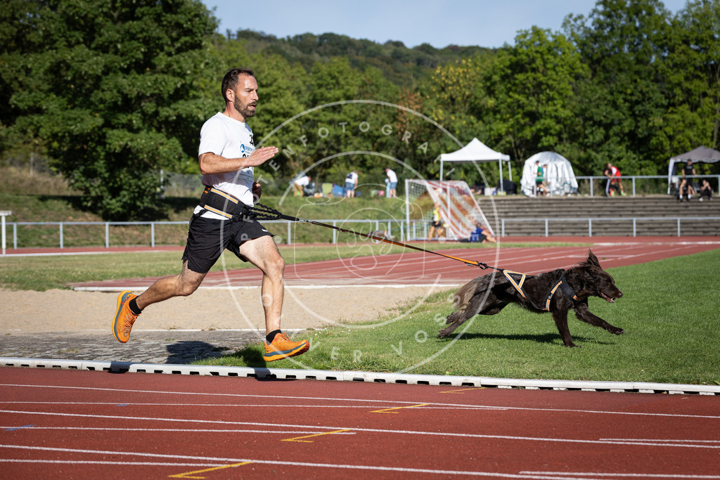Pfotenfotografie_DV3A9591 | Hundefotografie, Tierfotograf, Pfotenfotografie, Fotoshooting Hund, Hunde Portrait, Hundesport, Hundeportraits, Heideshooting, Hunde, Sportfotograf, Hundefotograf, Turnierhundsport, THS,  - Realisiert mit Pictrs.com