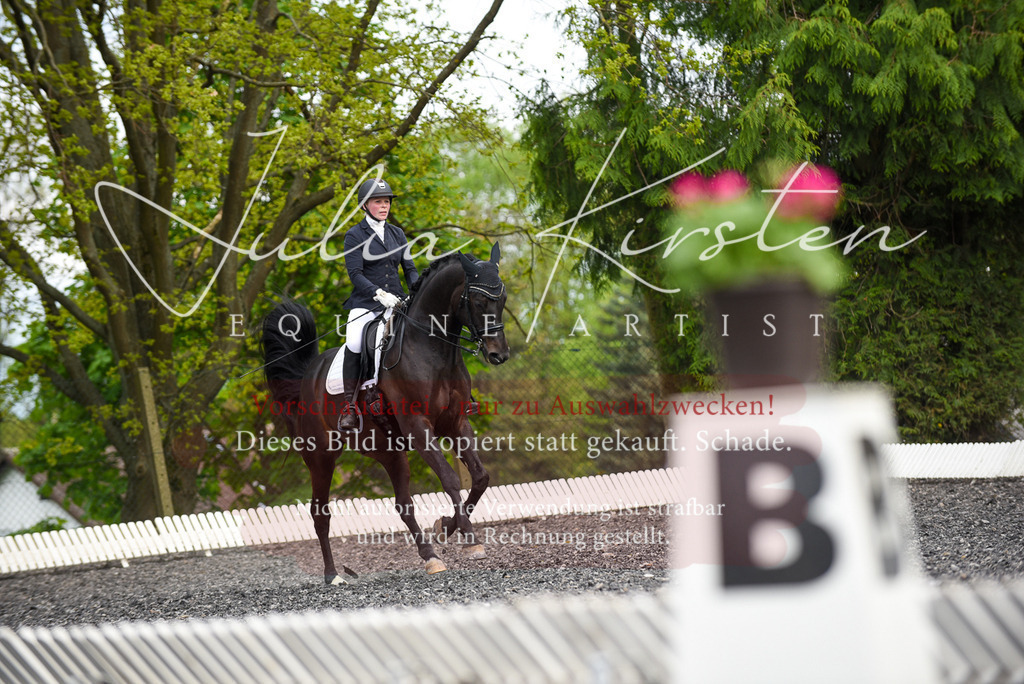 20230513_JK-Röhrsdorf-17-292 | Pferde- und Turnierfotografie in Westsachsen. Pferdeportraits, Auftragszeichnungen und intuitive Kunst.