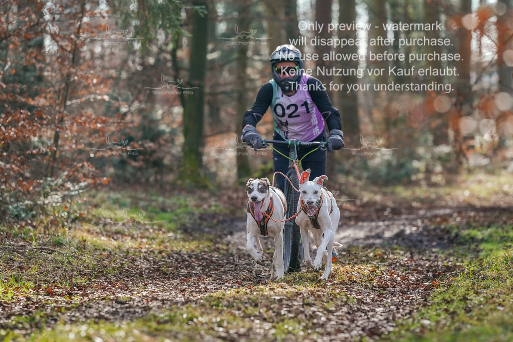 So_Scooter_2-78 | stephaniefillaphotographie - Realisiert mit Pictrs.com