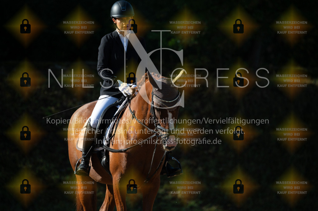 DSC_7923 | Nils Cress - Fotografie - Realisiert mit Pictrs.com