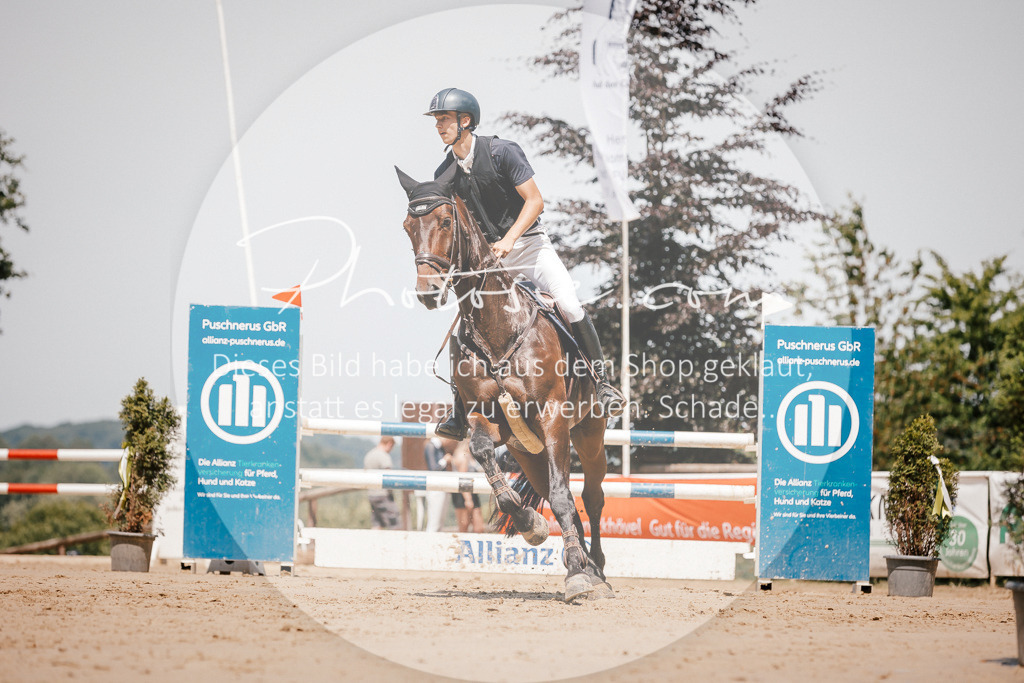 3I6A8095 | Stimmungsvolle Portraits und Reitsportfotografie im Ruhrgebiet und im Münsterland.

Pferdefotografie, Hundefotografie, Tierfotografie, Reportagen, Portraits von Tier und Mensch, Turnierfotografie in Bochum, Recklinghausen, Marl, Haltern am See, Dülmen.. - Realisiert mit Pictrs.com