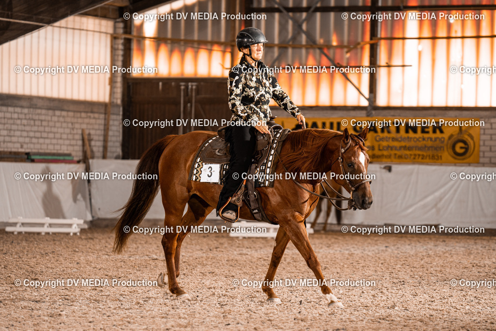 ZH100196 | dv-media-shop - Realisiert mit Pictrs.com