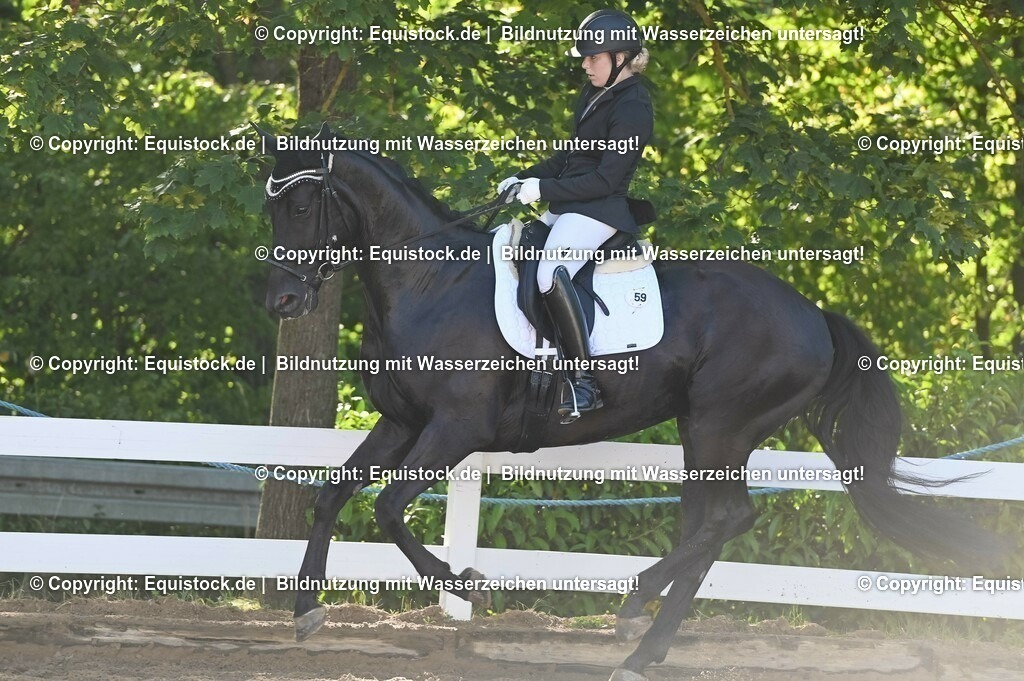 20230715_06_Dressurpferdeprfg. Kl.A_0105 | equistock