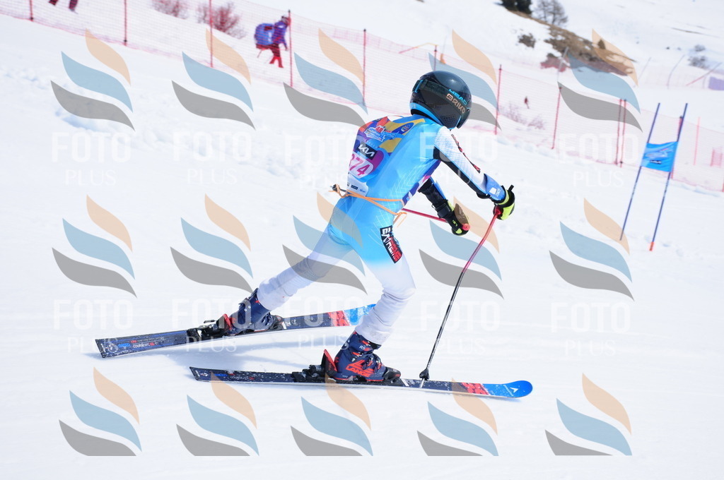 DSC_7348 | holidayphoto