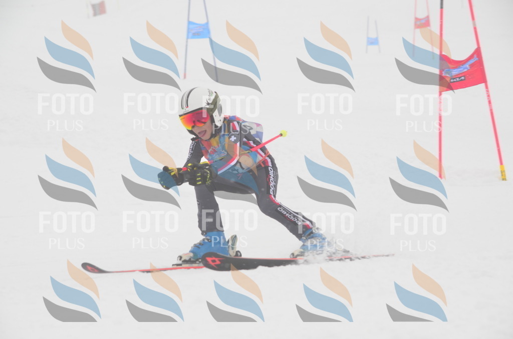 C0923 | holidayphoto