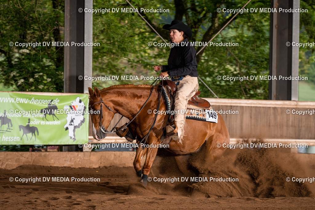 Erbach Tag 2-939 | dv-media-shop - Realisiert mit Pictrs.com