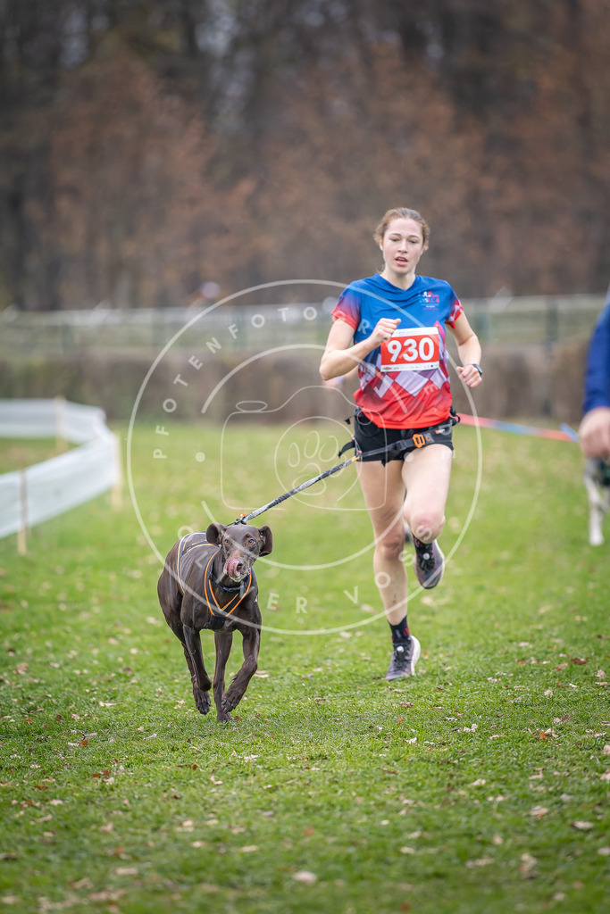 CaniXpix_DV3A7163 | Hundefotografie, Tierfotograf, Pfotenfotografie, Fotoshooting Hund, Hunde Portrait, Hundesport, Hundeportraits, Heideshooting, Hunde, Sportfotograf, Hundefotograf, Turnierhundsport, THS,  - Realisiert mit Pictrs.com