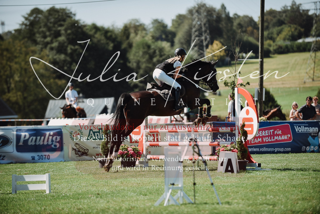 DSC_3164 | Pferde- und Turnierfotografie in Westsachsen. Pferdeportraits, Auftragszeichnungen und intuitive Kunst.
