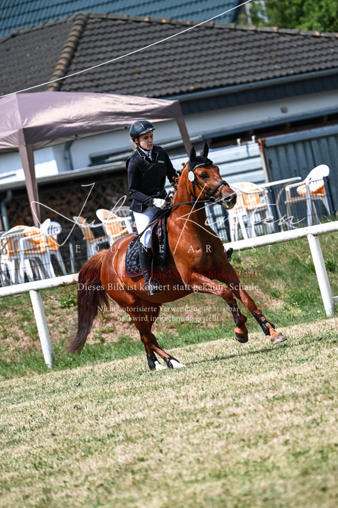 DSC_8839 | Pferde- und Turnierfotografie in Westsachsen. Pferdeportraits, Auftragszeichnungen und intuitive Kunst.