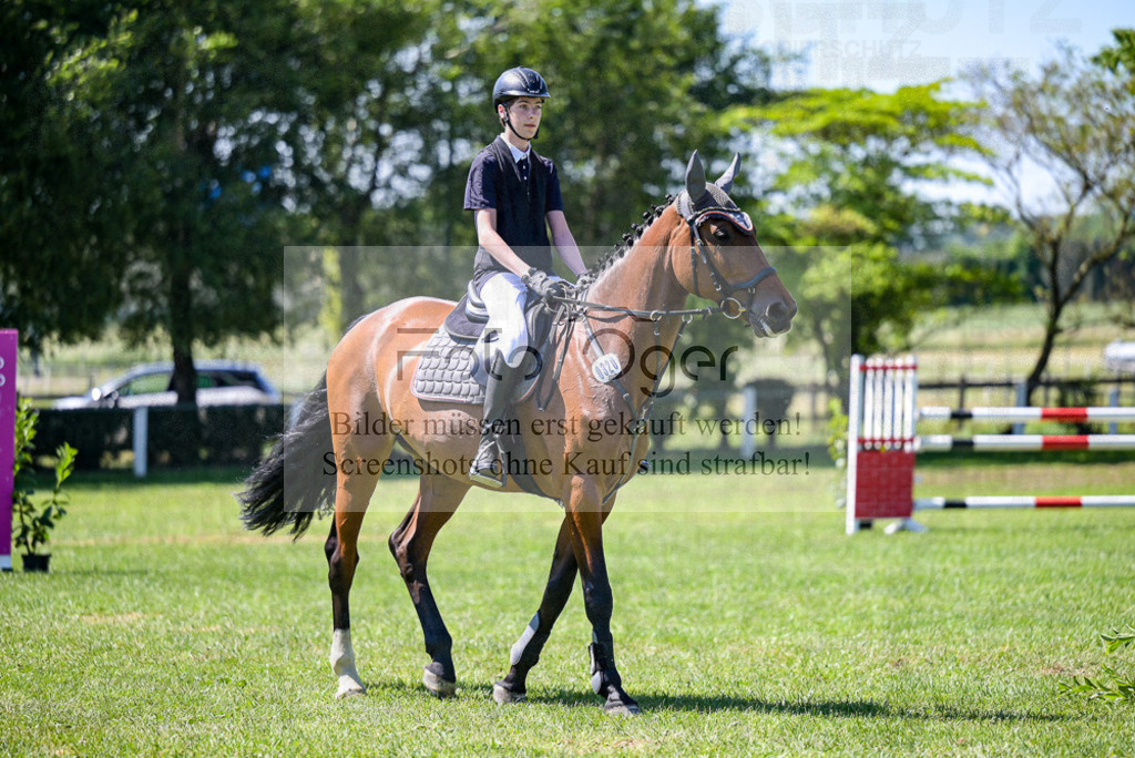 Reitturnier Voxtrup | Entdecke hochwertige Reitturnierfotos von Foto Oger. Professionell, emotional und authentisch – jetzt Lieblingsmomente im Shop bestellen.Deutschlandweite Turnierfotografie. - Realisiert mit Pictrs.com
