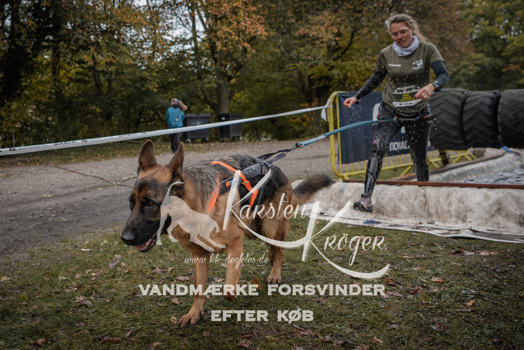 1618_ZZ93008 | kk-dogfotos