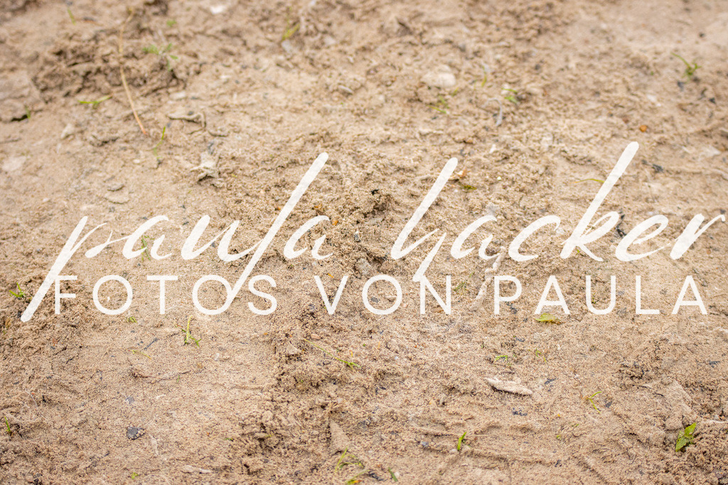 IMG_2723 | Erleben Sie dynamische Sport- und emotionale Tierfotografie in Süddeutschland mit Fotos von Paula. Spezialisiert auf Pferde- und Hundefotografie sowie Sportevents. Kontaktieren Sie mich für einzigartige und ausdrucksstarke Bilder Ihrer besonderen Momente. - Realisiert mit Pictrs.com