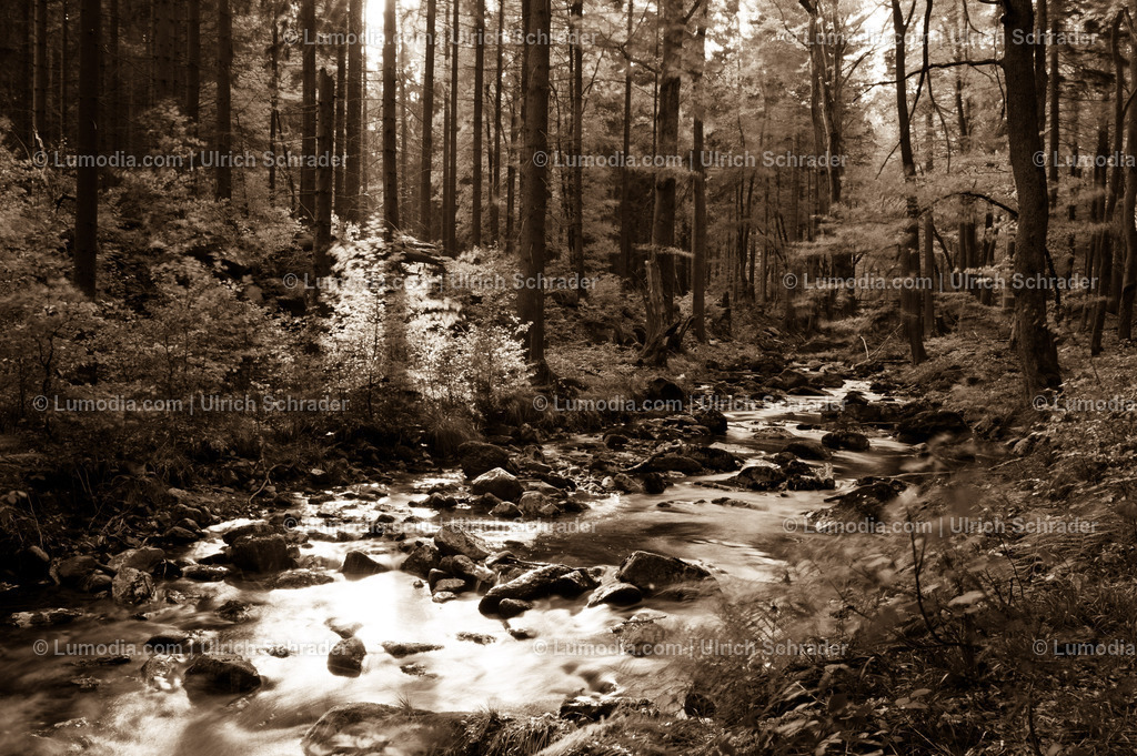 100491-2686 - Impressionen an der Ilse _ Harz | Stockfoto und Bilderpool mit Bildmaterial aus Deutschland, dem Harz, Halberstadt, Quedlinburg, Wernigerode und weltweit. Qualitativ hochwertige und professionelle Fotos anschauen und kaufen. - Realisiert mit Pictrs.com