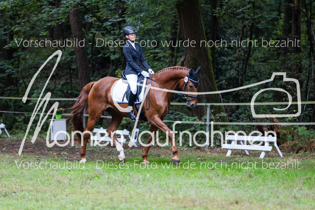 HB-A-Dressur-041 | MomenTaufnahmen Pferdesportfotos