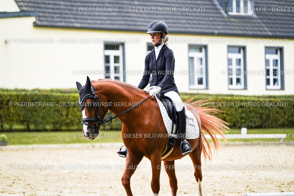 DSC08820 | Pferdegrafie