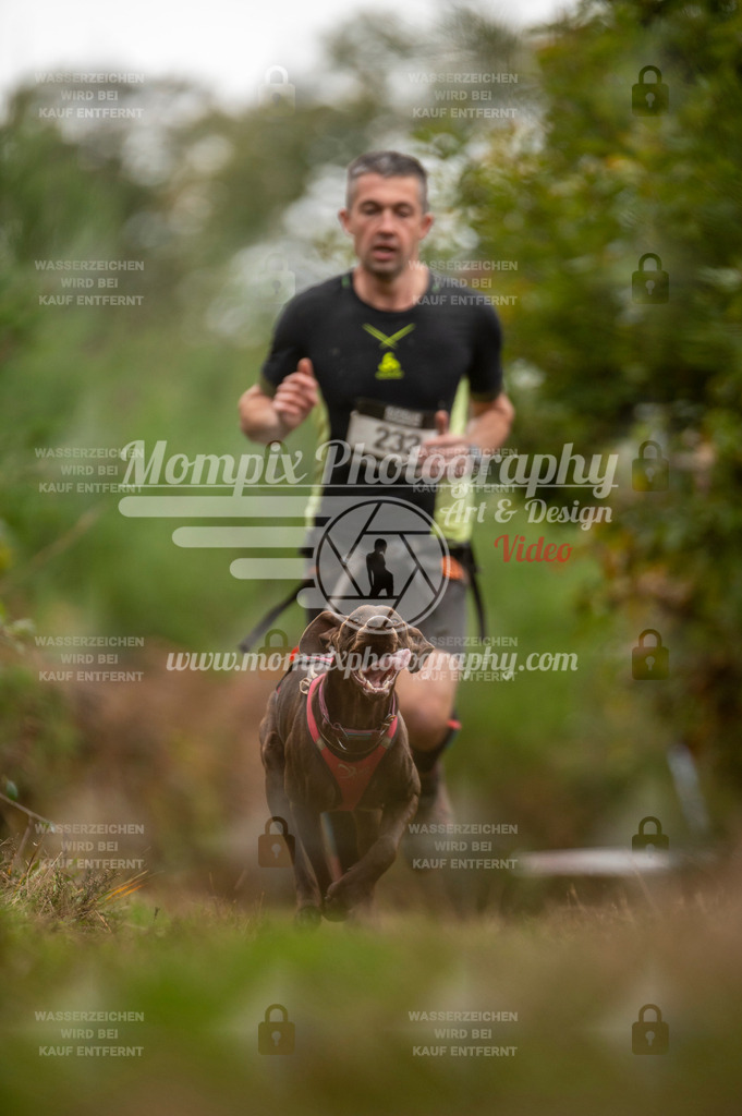 TSB_2023_E5_Canicross-4 | PayLife