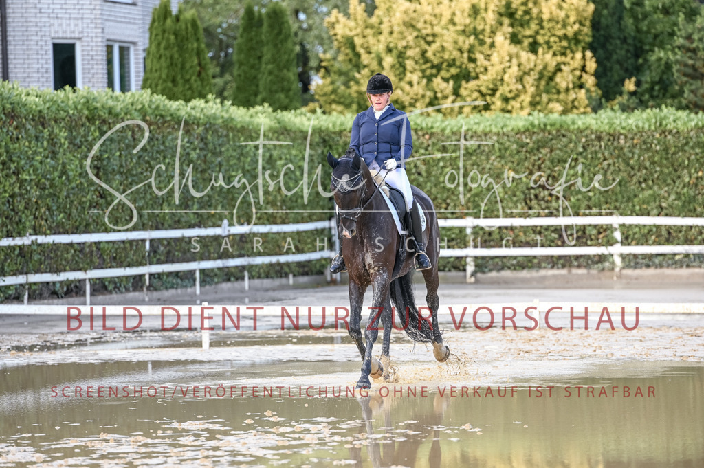 Schugtsche-Aluta25-54.Dressurprf.L1Trense-317 | Schugtsche Fotografie - Realisiert mit Pictrs.com