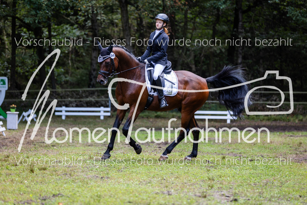 HB-Dressur-WB-090 | MomenTaufnahmen Pferdesportfotos