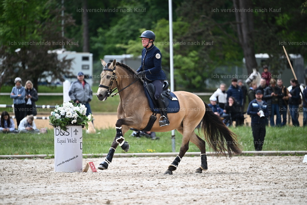 PI26_SP_Sara_Landvogt_226_5365.JPG | working equitationturnier fotograf videograf stoibphotography marixx film working equitation deutschland reitsport turnierfotografie eventfotografie equestrian events