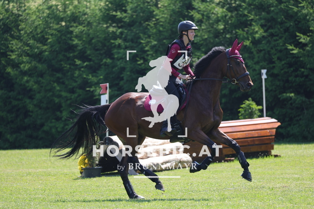 0P6A7923 | Willkommen bei Brunnmayr - Design & Fotografie – Ihrem Spezialisten für Reitturniere und Pferdeveranstaltungen in Oberösterreich, Salzburg und Bayern! Seit über 17 Jahren sind wir leidenschaftlich dabei.