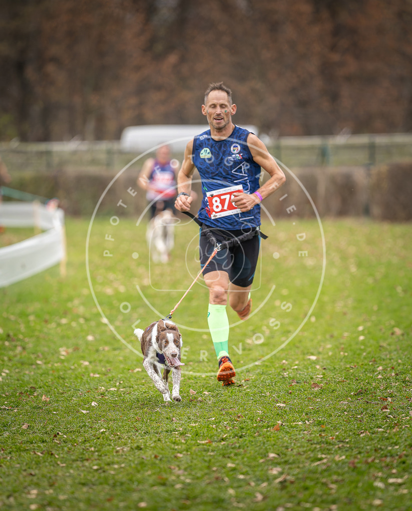 CaniXpix_DV3A6704 | Hundefotografie, Tierfotograf, Pfotenfotografie, Fotoshooting Hund, Hunde Portrait, Hundesport, Hundeportraits, Heideshooting, Hunde, Sportfotograf, Hundefotograf, Turnierhundsport, THS,  - Realisiert mit Pictrs.com