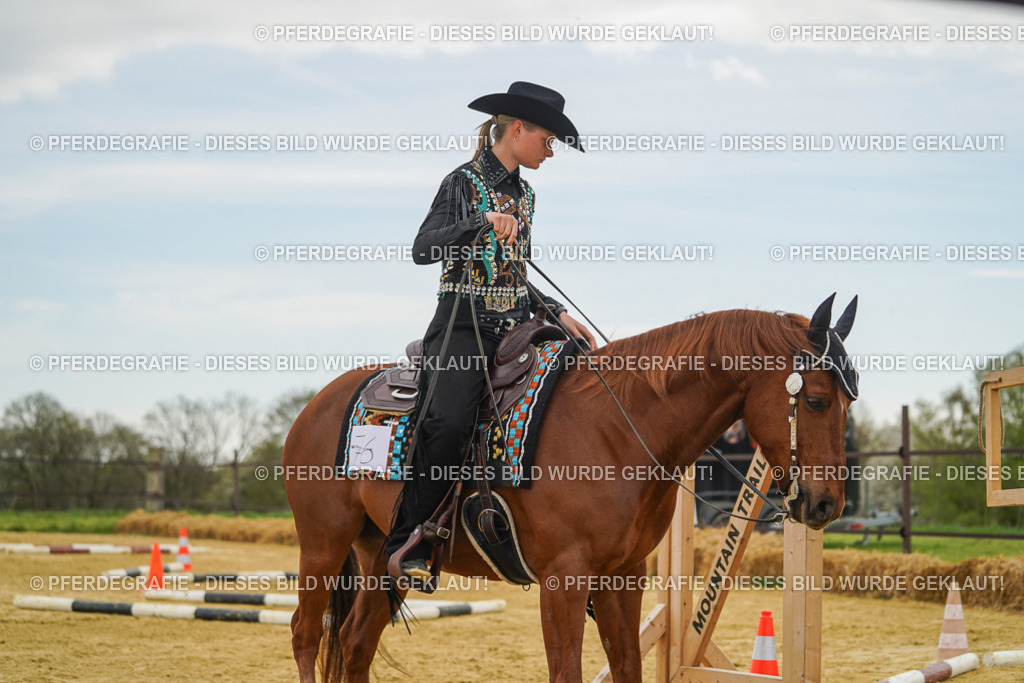 DSC02691 | Pferdegrafie