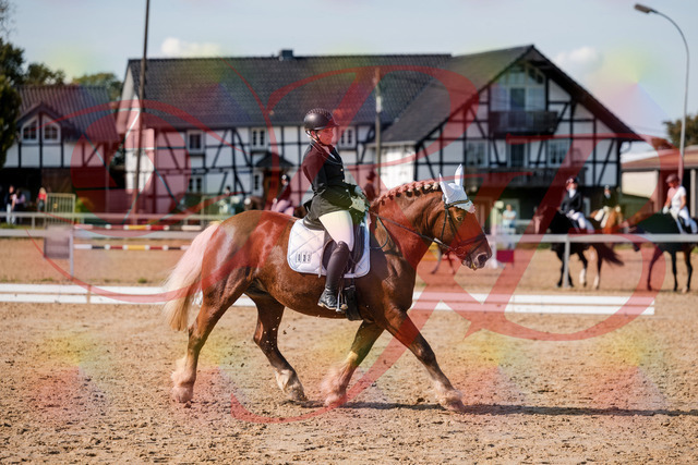 2026_10_03_Siefer-Hof_130441_Z63_67688968 | Professionelle Reitsport-, Turnier- und Eventfotografie von Robert Broda. Galerien mit ausgewählten und bearbeiteten Bildern direkt online ansehen und bestellen.