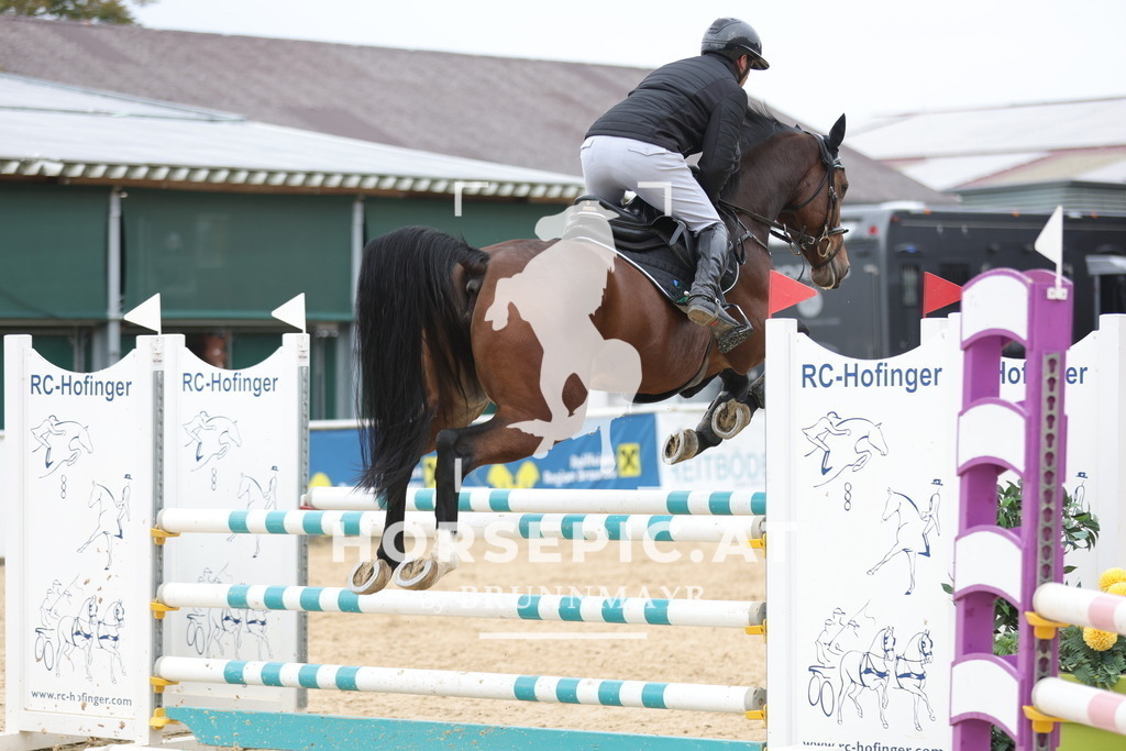 0P6A3539 | Willkommen bei Brunnmayr - Design & Fotografie – Ihrem Spezialisten für Reitturniere und Pferdeveranstaltungen in Oberösterreich, Salzburg und Bayern! Seit über 17 Jahren sind wir leidenschaftlich dabei.