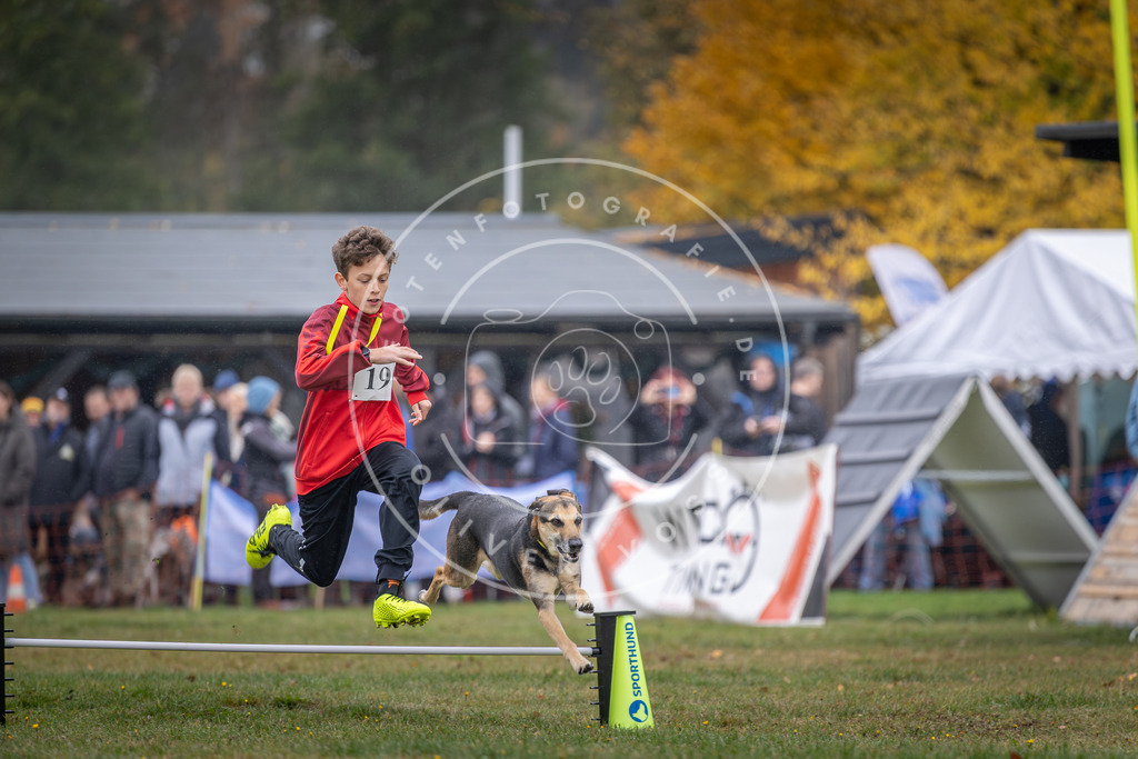 Pfotenfotografie_DV3A9886 | Hundefotografie, Tierfotograf, Pfotenfotografie, Fotoshooting Hund, Hunde Portrait, Hundesport, Hundeportraits, Heideshooting, Hunde, Sportfotograf, Hundefotograf, Turnierhundsport, THS,  - Realisiert mit Pictrs.com