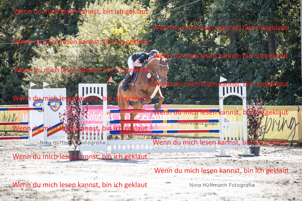 BK1A6509 | Turnierbilder Turnierfotos Nina Hüffmann Turnierfotografie Pferdefotografie Tierzeichnung Haustierzeichnung Pferdezeichnung Hundezeichnung Videograf  - Realisiert mit Pictrs.com