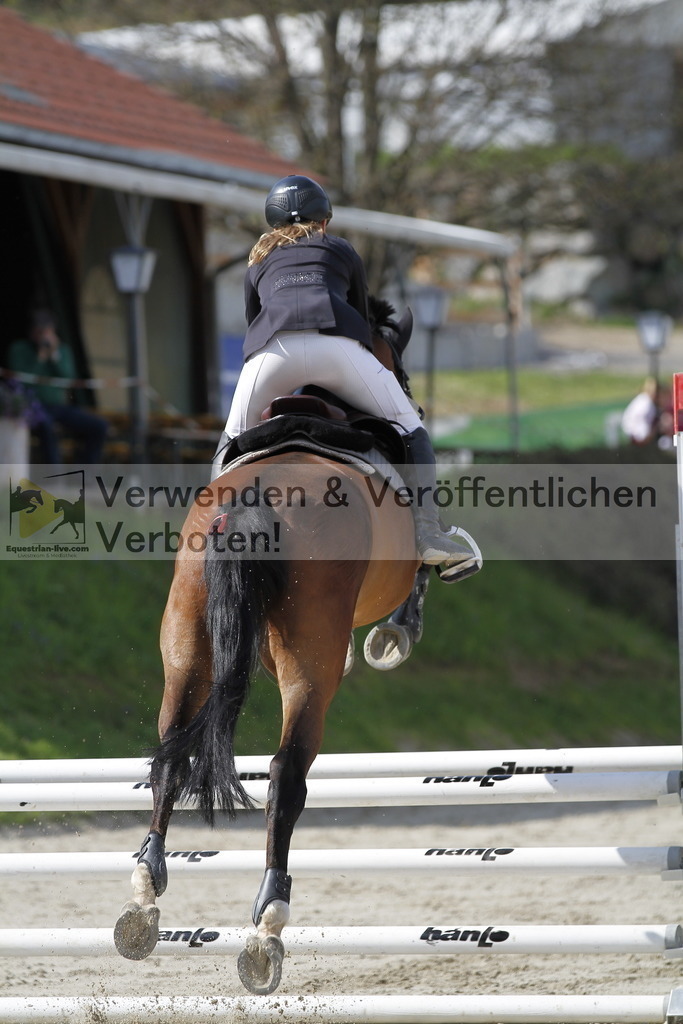 _MG_7916 | equestrian-live-com