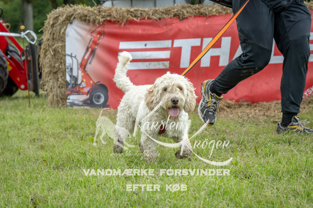 1129_ZZ94405 | kk-dogfotos