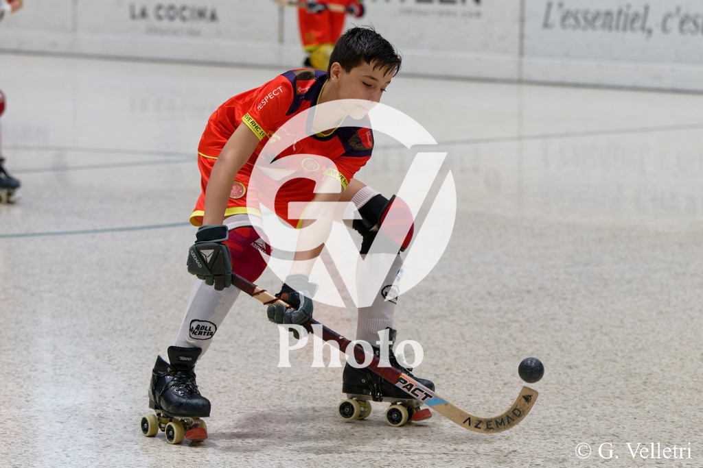 DSC_0901 | Velletri Photo