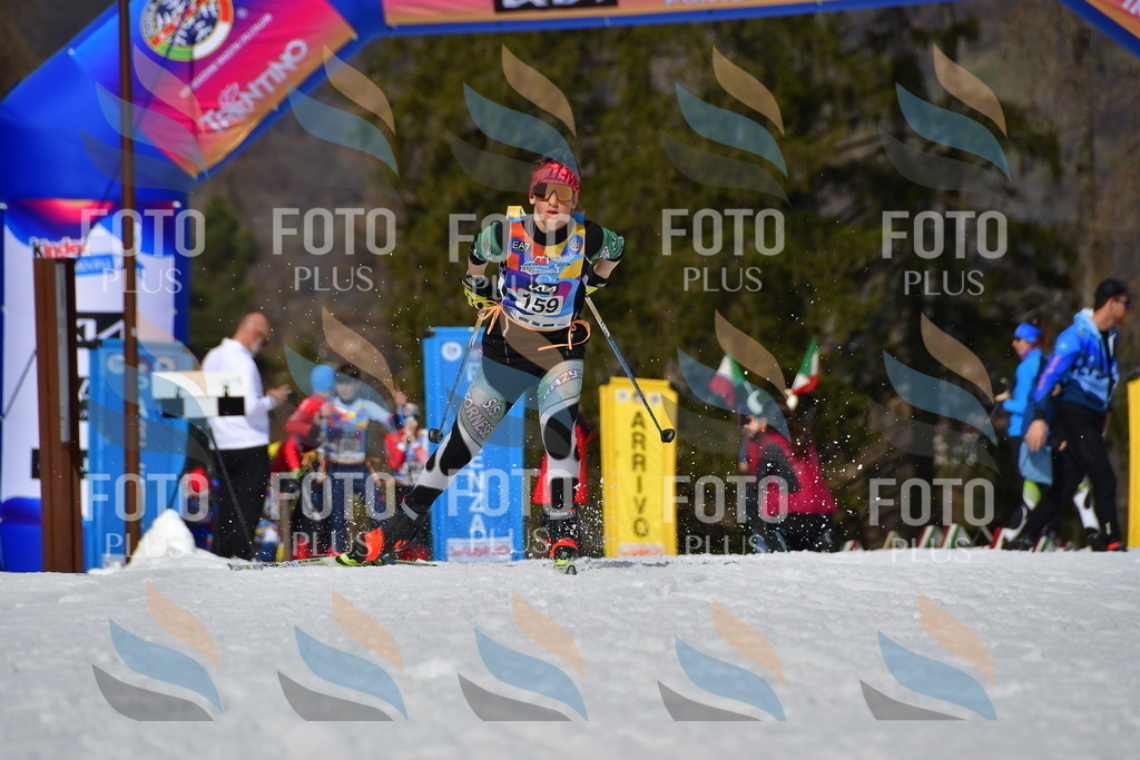 _DSC0385 | holidayphoto