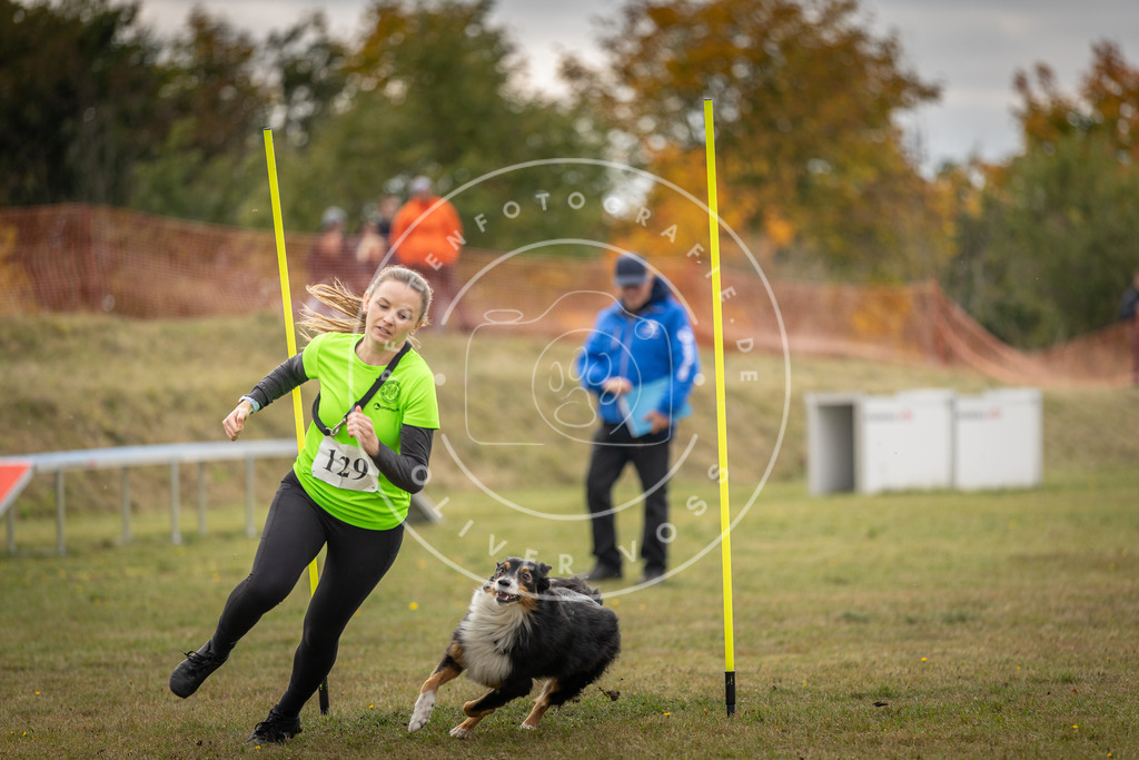 Pfotenfotografie_DV3A6864 | Hundefotografie, Tierfotograf, Pfotenfotografie, Fotoshooting Hund, Hunde Portrait, Hundesport, Hundeportraits, Heideshooting, Hunde, Sportfotograf, Hundefotograf, Turnierhundsport, THS,  - Realisiert mit Pictrs.com