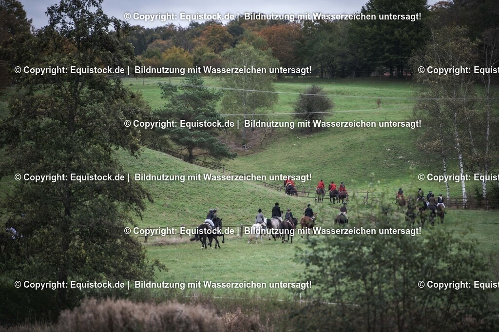 20241013_Jagd-Marbach_0404 | Foto: Thomas Hartig