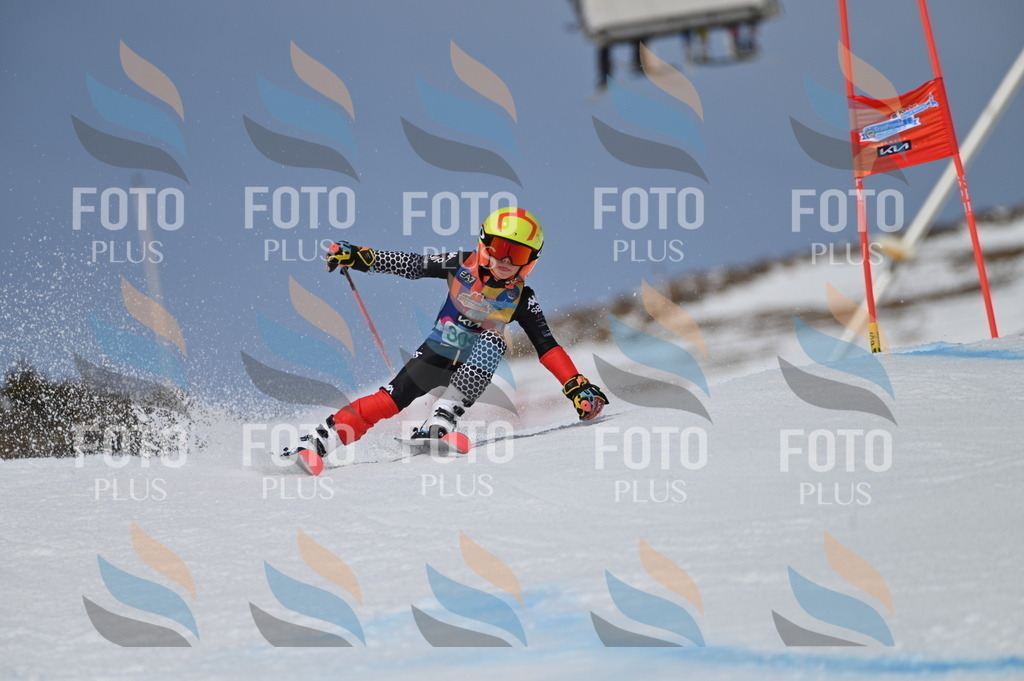 BGV_6059 | holidayphoto