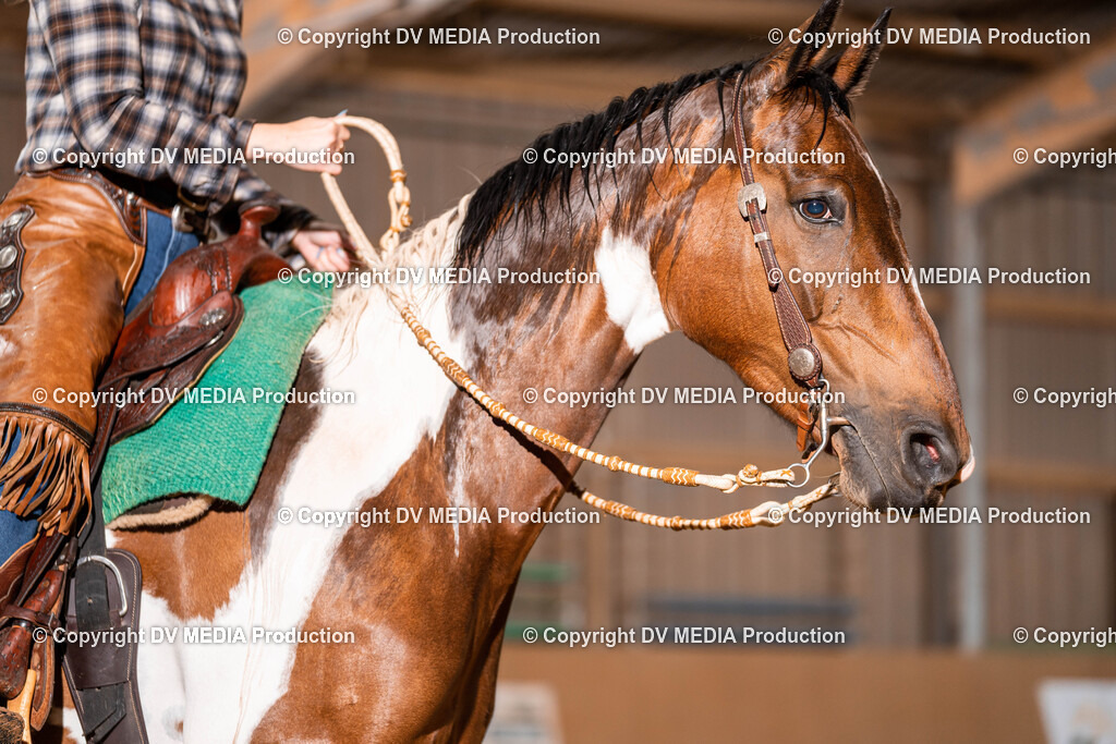 Losheim Tag 1-82 | dv-media-shop - Realisiert mit Pictrs.com