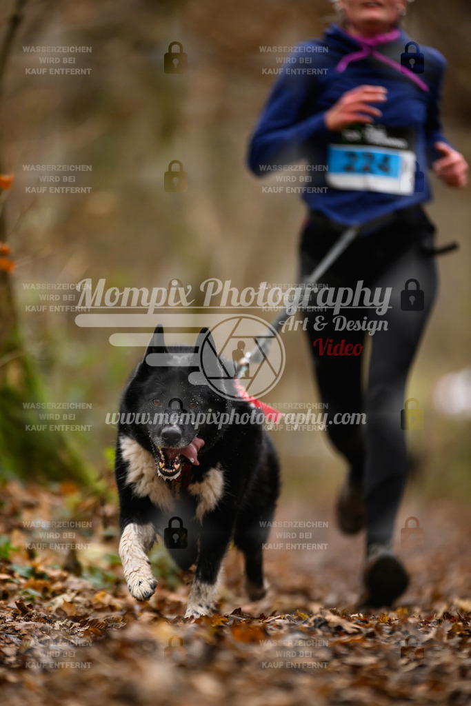 MompixPhotography_Eschau2024_CCC-84 | PayLife